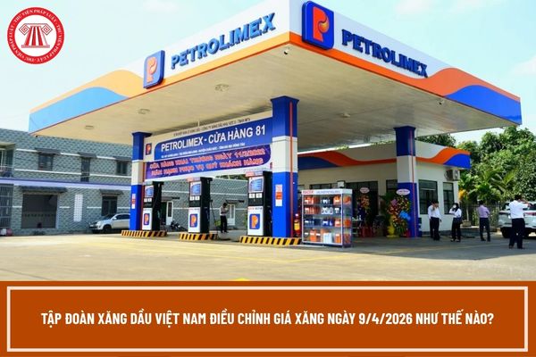 Pháp luật