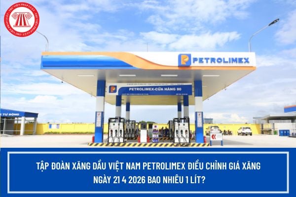 Pháp luật