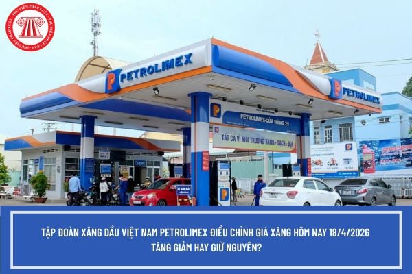 Pháp luật