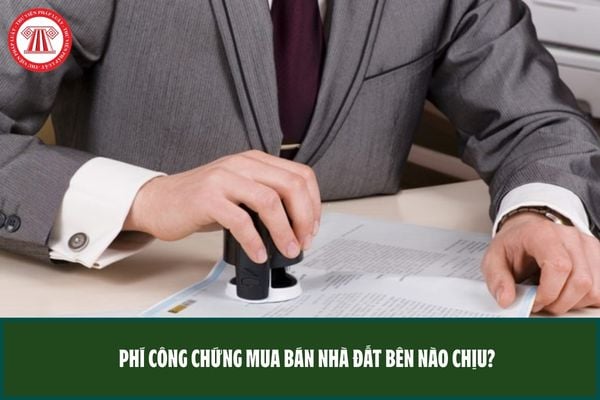 Pháp luật
