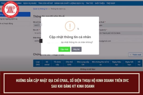 Pháp luật