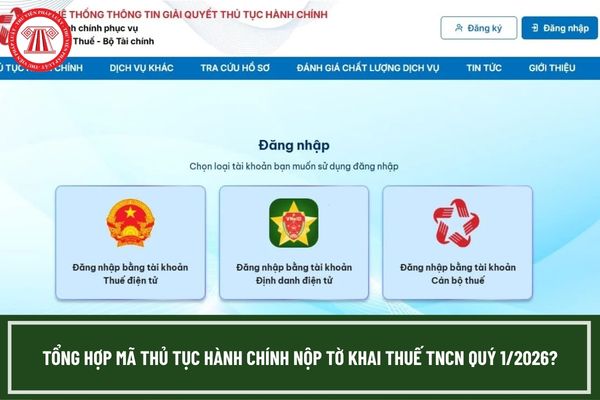 Pháp luật