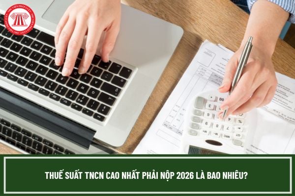 Pháp luật
