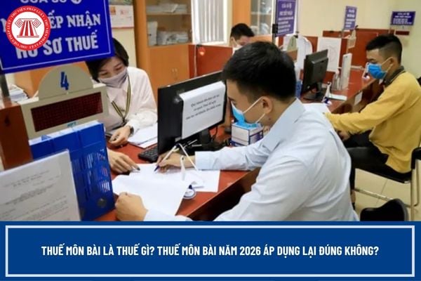 Pháp luật