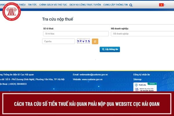 Pháp luật