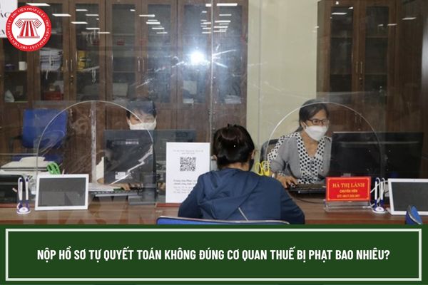 Pháp luật