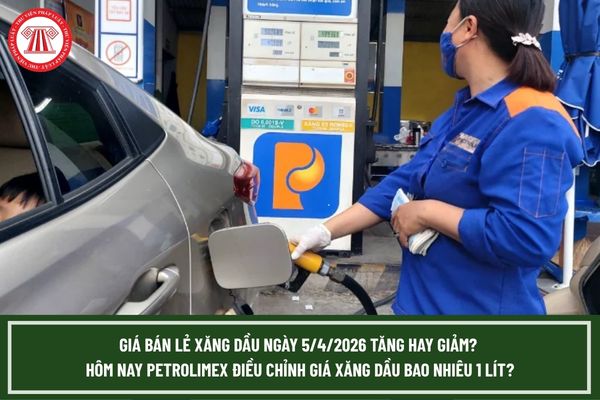 Pháp luật