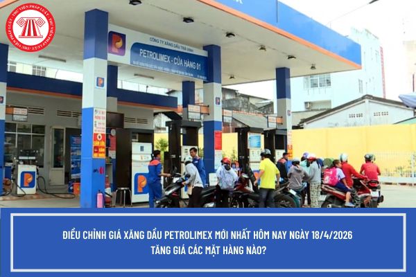 Pháp luật