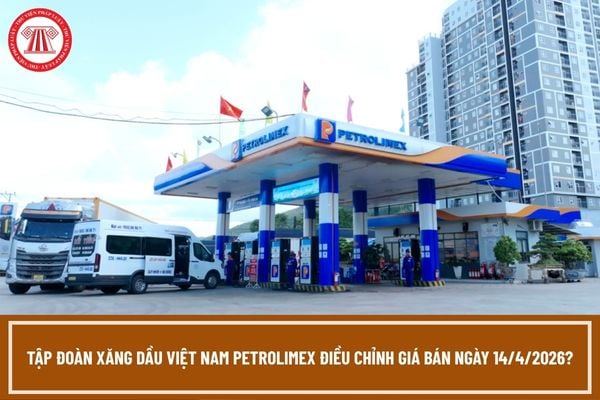 Pháp luật