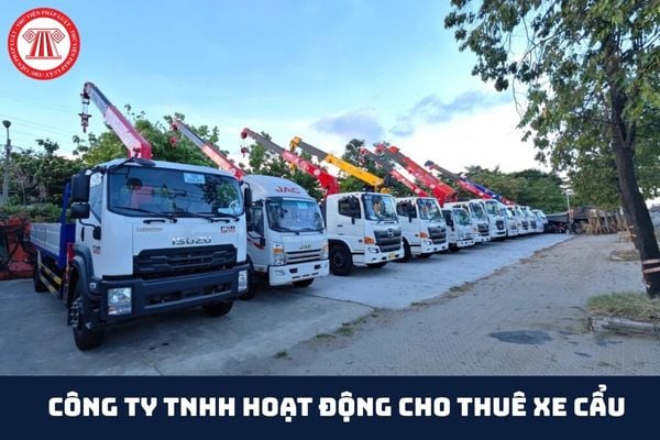 Pháp luật