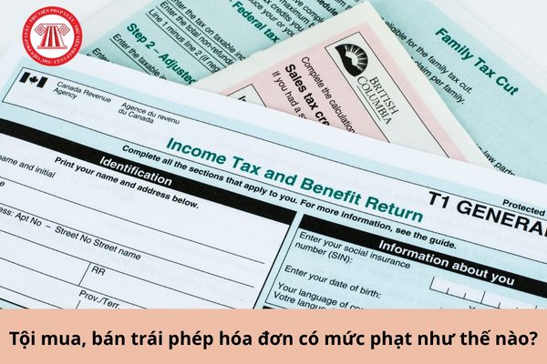 Pháp luật