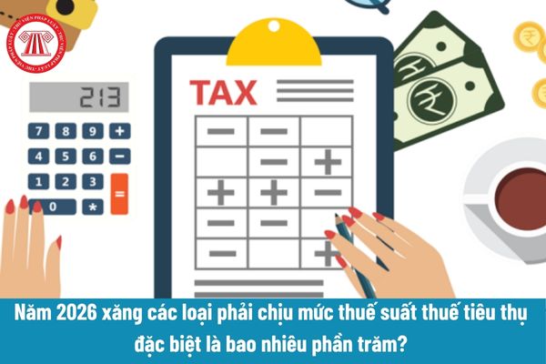 Pháp luật