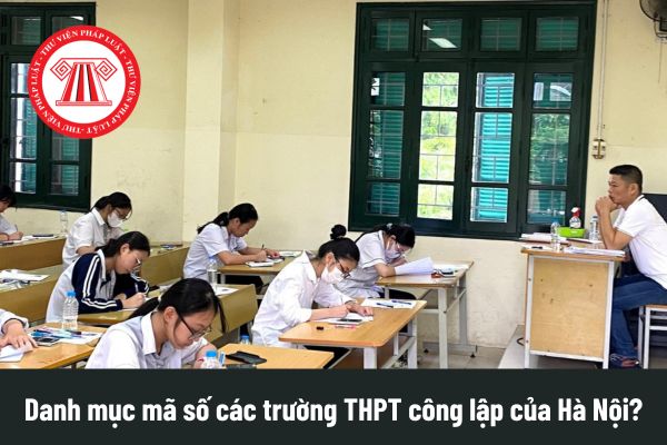Pháp luật