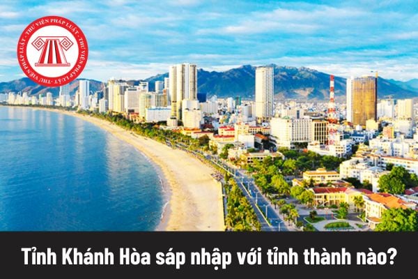 Pháp luật