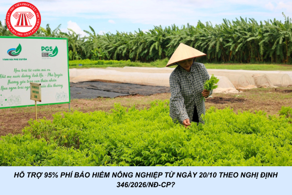 Hỗ trợ 95% phí bảo hiểm nông nghiệp từ ngày 20/10 theo Nghị định 346/2026/NĐ-CP?