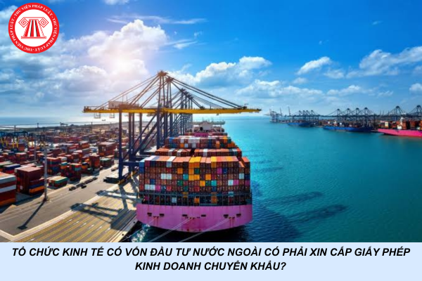 Tổ chức kinh tế có vốn đầu tư nước ngoài có phải xin cấp giấy phép kinh doanh chuyển khẩu?