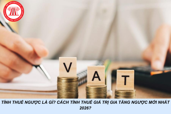 Tính thuế ngược là gì? Cách tính thuế giá trị gia tăng ngược mới nhất 2026?