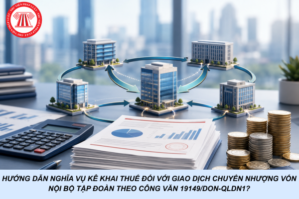 Hướng dẫn nghĩa vụ kê khai thuế đối với giao dịch chuyển nhượng vốn nội bộ tập đoàn theo Công văn 19149/DON-QLDN1?