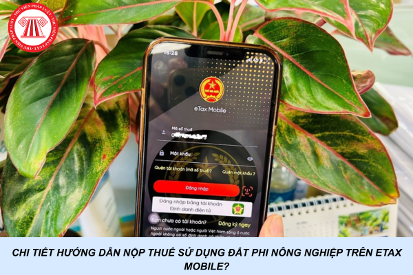 Chi tiết hướng dẫn nộp thuế sử dụng đất phi nông nghiệp trên eTax Mobile?