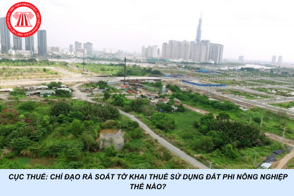 Cục Thuế: Chỉ đạo rà soát tờ khai thuế sử dụng đất phi nông nghiệp thế nào?