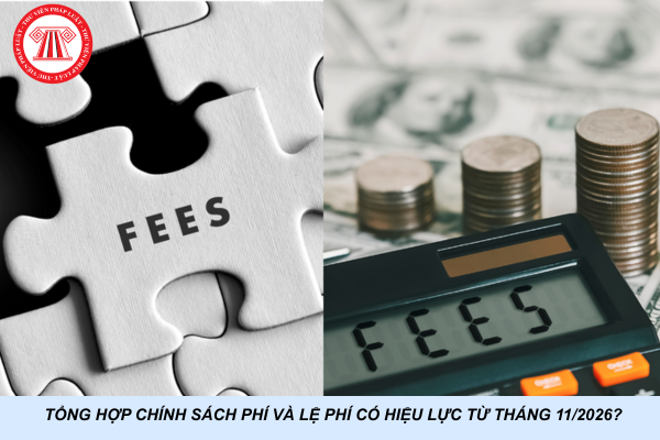 Tổng hợp chính sách phí và lệ phí có hiệu lực từ tháng 11/2026?