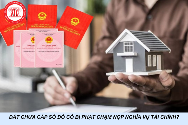 Đất chưa cấp sổ đỏ có bị phạt chậm nộp nghĩa vụ tài chính?