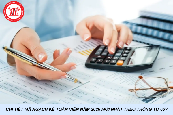Chi tiết mã ngạch kế toán viên năm 2026 mới nhất theo Thông tư 66?
