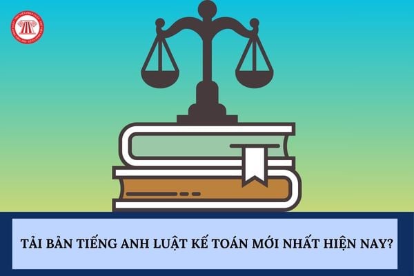 Pháp luật