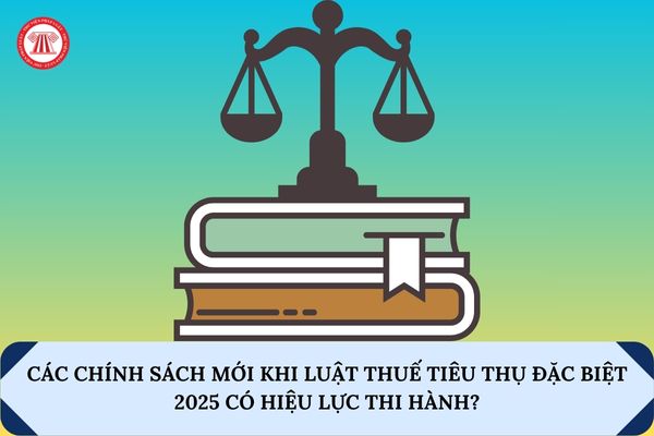 Các chính sách mới khi Luật Thuế tiêu thụ đặc biệt 2025 có hiệu lực thi hành?