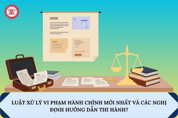 Pháp luật