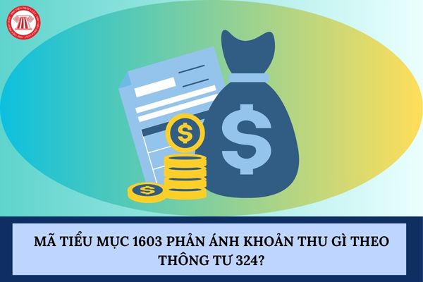 Pháp luật