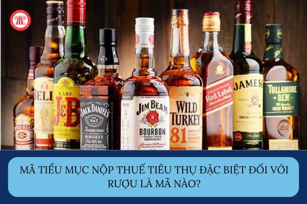Pháp luật