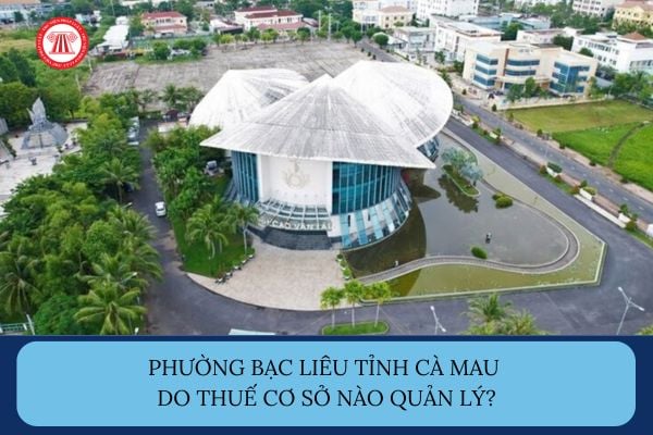 Pháp luật
