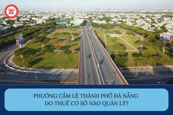 Pháp luật