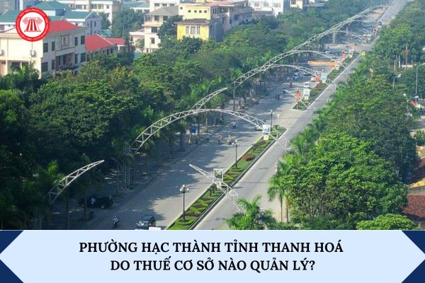Pháp luật