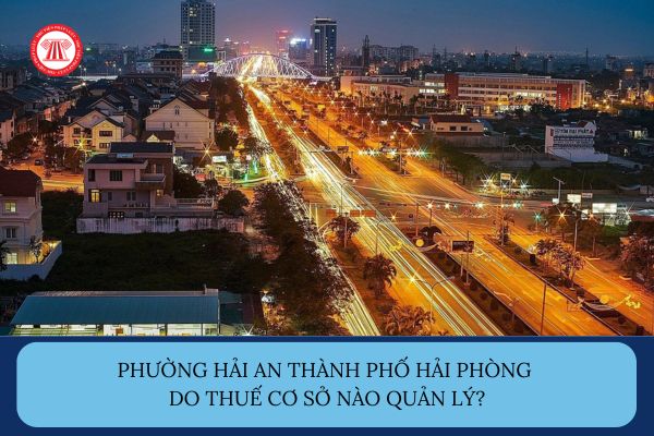 Pháp luật