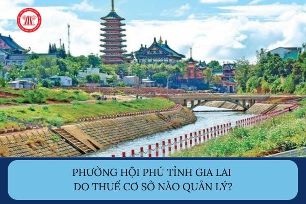 Pháp luật