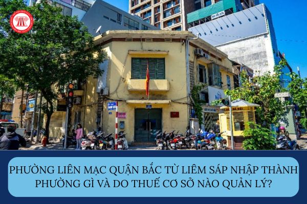 Pháp luật