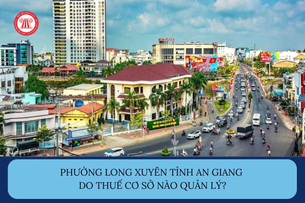Pháp luật