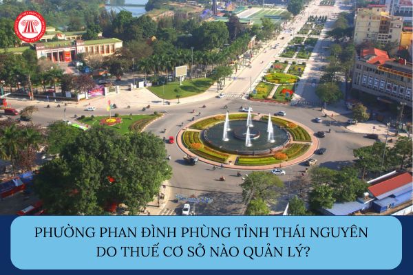 Pháp luật