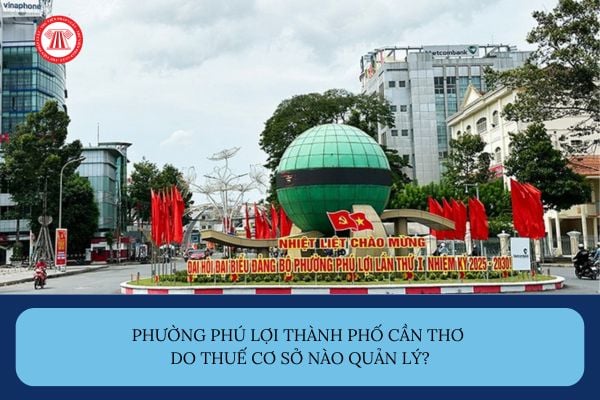 Pháp luật