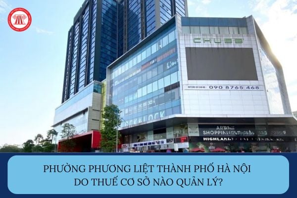 Pháp luật