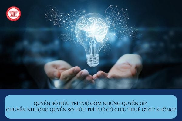 Pháp luật