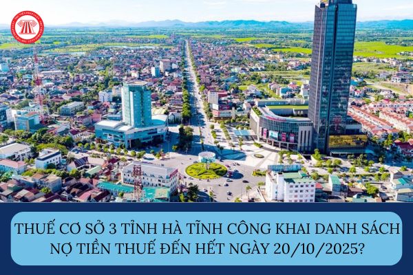 Pháp luật