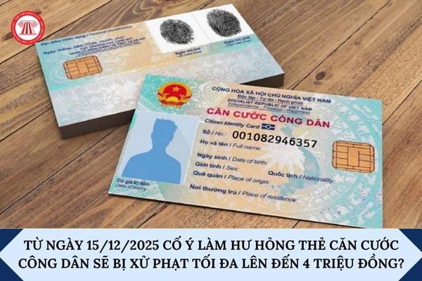 Pháp luật