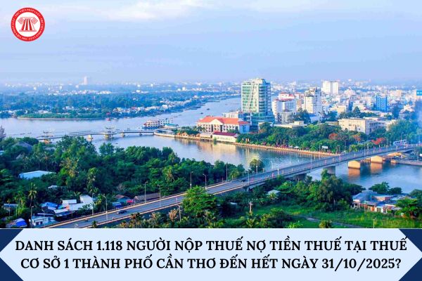 Pháp luật