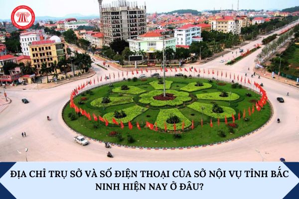 Pháp luật