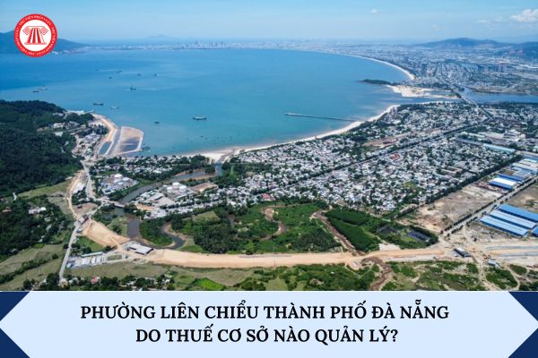 Pháp luật