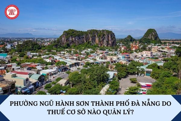 Pháp luật
