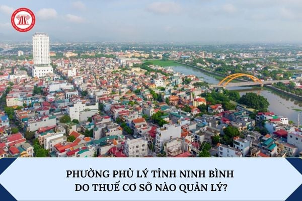 Pháp luật